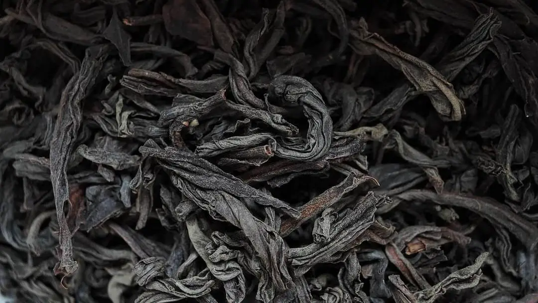 Juodoji arbata: istorija, rūšys, nauda 1 Juodoji arbata Nauda iš arti, rušinė arbata, lapeliai