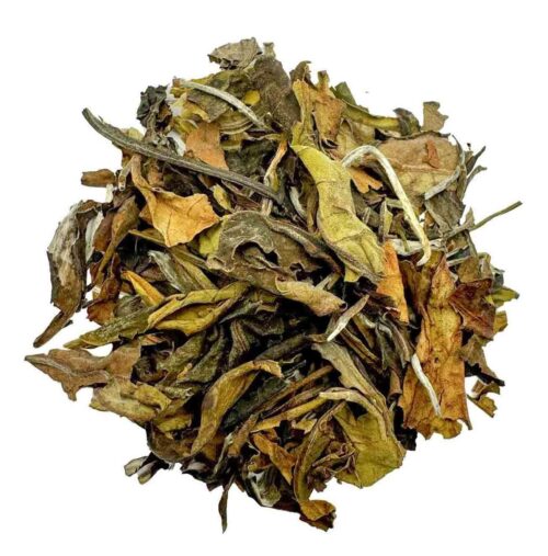 Premium baltoji arbata Pai Mu Tan iš ekologiško Vietnamo ūkio