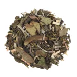 ZAL20006-01 „Angelo sodas“ – jazminų skonio žalioji arbata