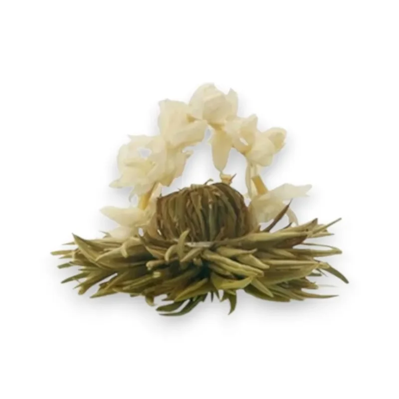 Žydinti arbata Jazminų Magija su jazminų arka