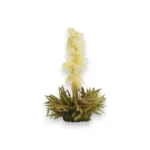 White tea Jasmine flower Thread Išsiskleidusi baltoji arbata su jazminų bokštu