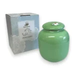 Porcelianinis indelis arbatai Seladono keramika su originalia dėžute